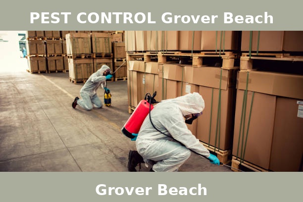 PEST CONTROL Grover Beach